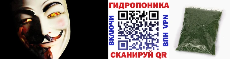 купить Верея Каннабис сатива